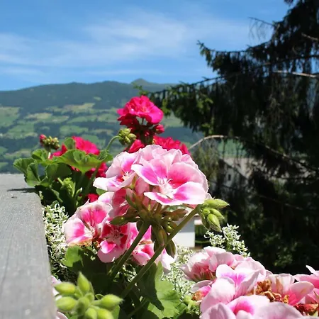 Hillside Pircher * فغن